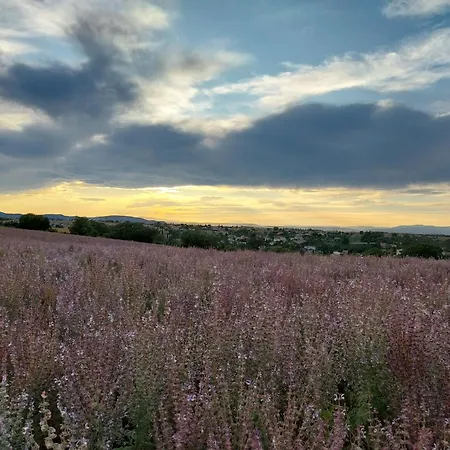 Lou Limbert Valensole