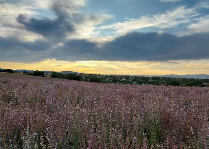 Lou Limbert Valensole